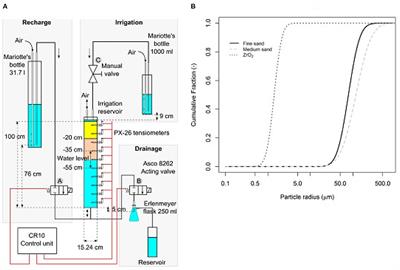 A Computational Method for Modeling Spatiotemporal Variability of Hydrodynamic Properties in Sandy Soil Under Drainage and Recharge